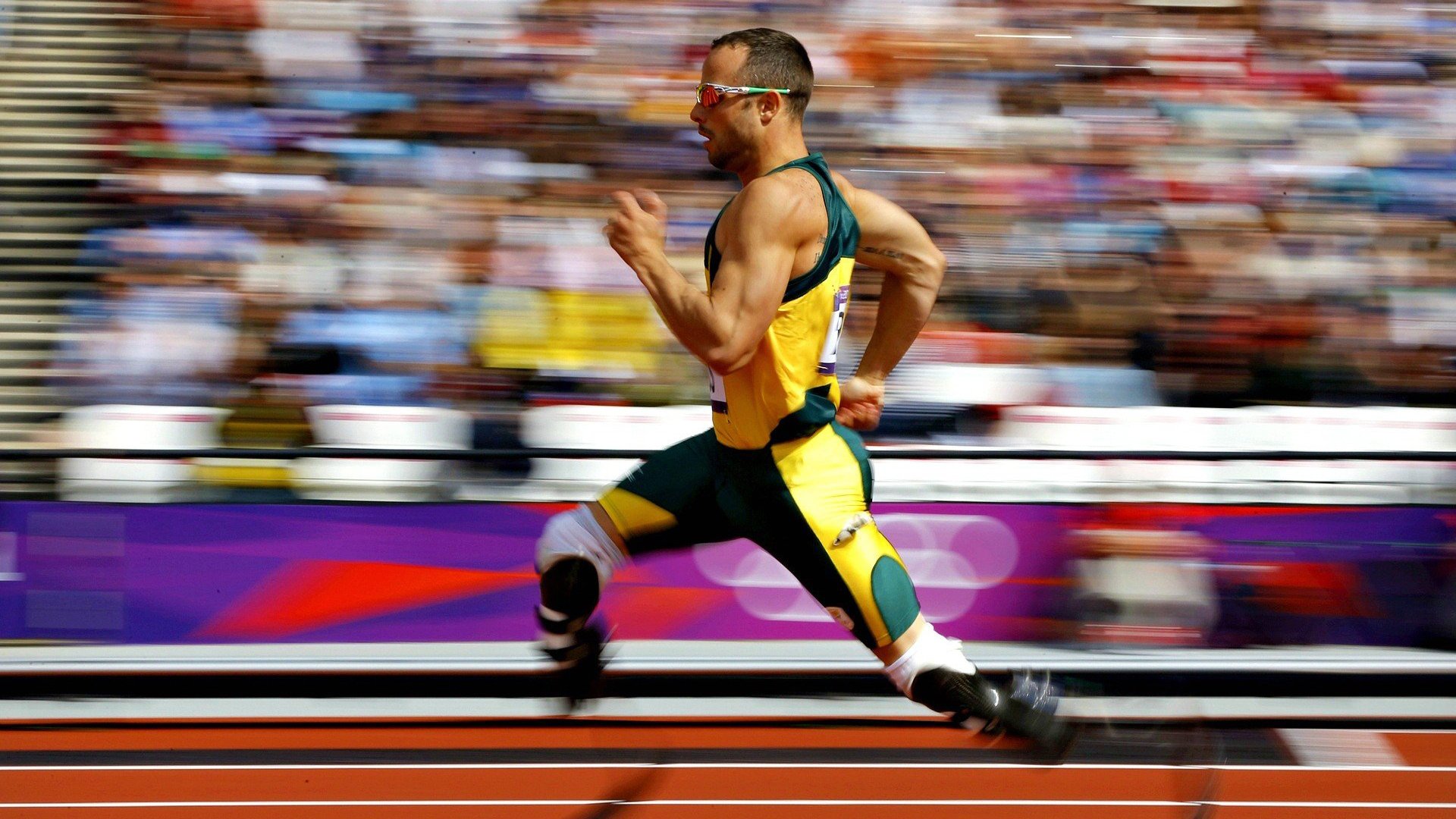 世界杯比赛现场科技体验升级,虚拟现实带来沉浸感,2022年世界杯模拟